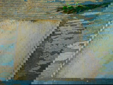 PETRIFIED PALM WOOD SLAB ROCK STONE LAPIDARY SPECIMEN