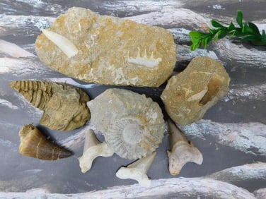 MIXED LOT ROCK STONE LAPIDARY SPECIMEN