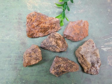 STARBURST JASPER ROCK STONE LAPIDARY SPECIMEN