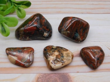 ROCK STONE LAPIDARY SPECIMEN