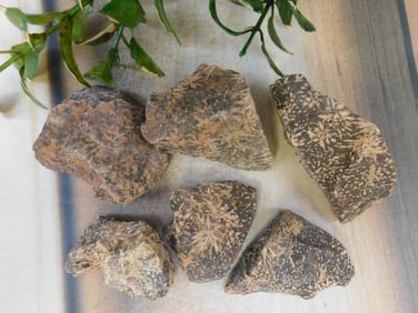 STARBURST JASPER ROCK STONE LAPIDARY SPECIMEN