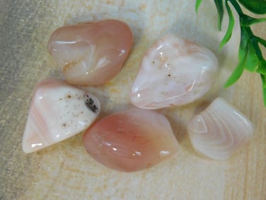 PINK BOTSWANA AGATE ROCK STONE LAPIDARY SPECIMEN