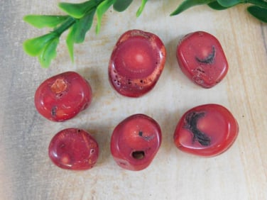 RED CORAL ROCK STONE LAPIDARY SPECIMEN