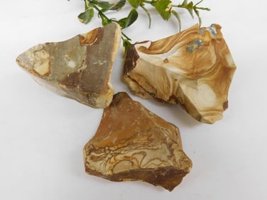 AGATE ROCK STONE LAPIDARY SPECIMEN