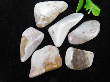 MOZARKITE ROCK STONE LAPIDARY SPECIMEN