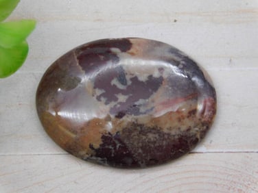 FOSSILIZED CORAL CABOCHON ROCK STONE LAPIDARY SPECIMEN