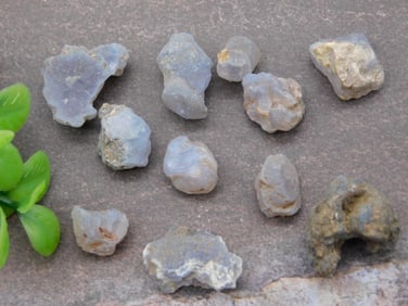 ELLENSBURG AGATE ROCK STONE LAPIDARY SPECIMEN