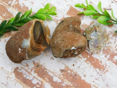 MIXED LOT ROCK STONE LAPIDARY SPECIMEN