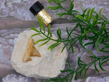 MIXED LOT ROCK STONE LAPIDARY SPECIMEN