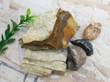 MIXED LOT ROCK STONE LAPIDARY SPECIMEN