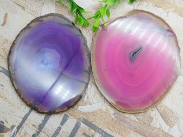 AGATE SLICES ROCK STONE LAPIDARY SPECIMEN