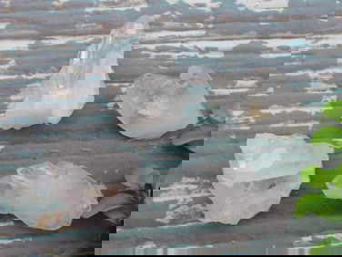 QUARTZ ROCK STONE LAPIDARY SPECIMEN