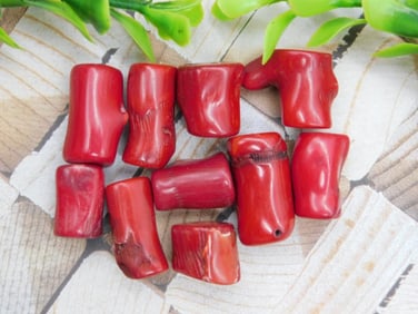 RED CORAL ROCK STONE LAPIDARY SPECIMEN
