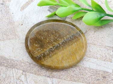 TIGER EYE PALM STONE ROCK STONE LAPIDARY SPECIMEN