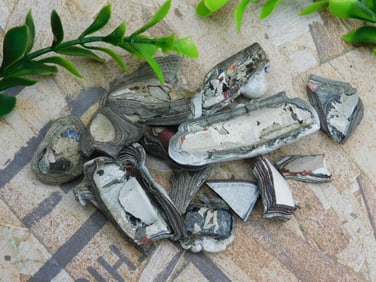 FORDITE MOTOR CITY AGATE ROCK STONE LAPIDARY SPECIMEN