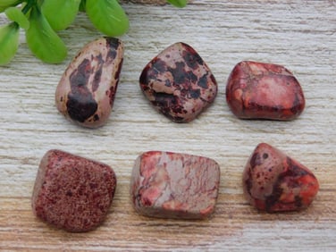 TUMBLED ROCK STONE LAPIDARY SPECIMEN