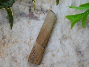 HADROSAUR TENDON FOSSIL ROCK STONE LAPIDARY SPECIMEN