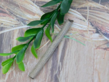 HADROSAUR TENDON FOSSIL ROCK STONE LAPIDARY SPECIMEN