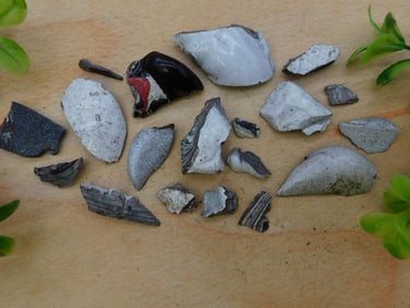 FORDITE MOTOR CITY AGATE ROCK STONE LAPIDARY SPECIMEN