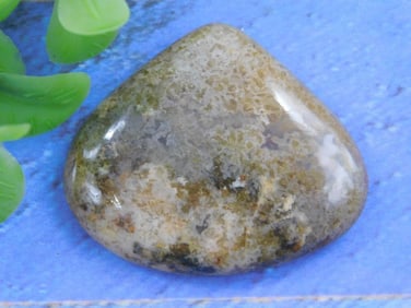 OCEAN JASPER CABOCHON ROCK STONE LAPIDARY SPECIMEN