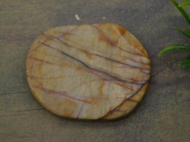 NETWORK JASPER ROCK STONE LAPIDARY SPECIMEN