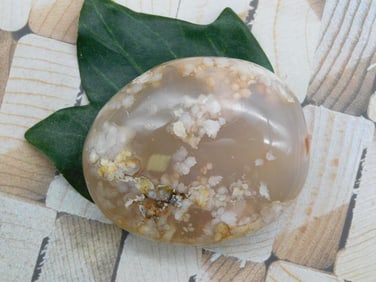 HATMANS FLOWER PETAL AGATE ROCK STONE LAPIDARY SPECIMEN