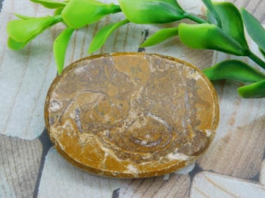 ROCK STONE LAPIDARY SPECIMEN