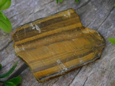 TIGER EYE ROCK STONE LAPIDARY SPECIMEN