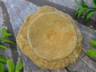 DINOSAUR BONE IN MATRIX ROCK STONE LAPIDARY SPECIMEN