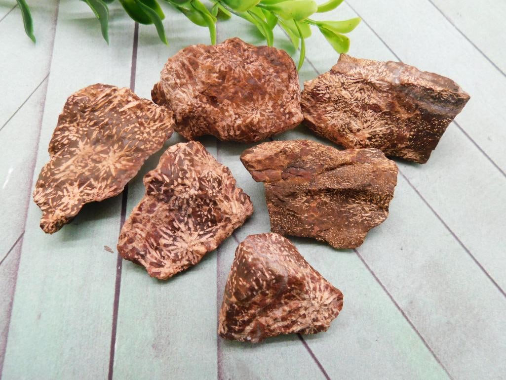 STARBURST JASPER ROCK STONE LAPIDARY SPECIMEN: STARBURST JASPER ROCK STONE LAPIDARY SPECIMEN