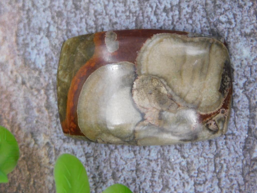 MUSHROOM RHYOLITE CABOCHON ROCK STONE LAPIDARY SPECIMEN (1 of 2)