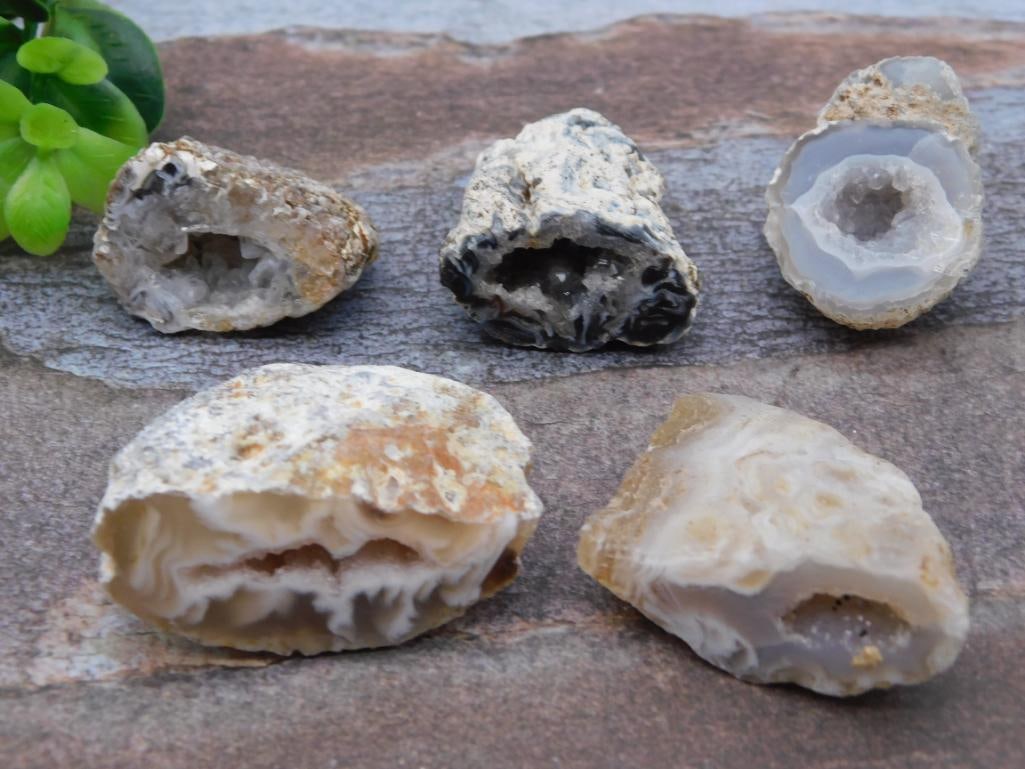 GEODES ROCK STONE LAPIDARY SPECIMEN (1 of 4)