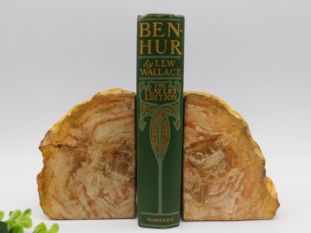 Petrified Wood Bookends Pair: Petrified Wood Bookends Pair