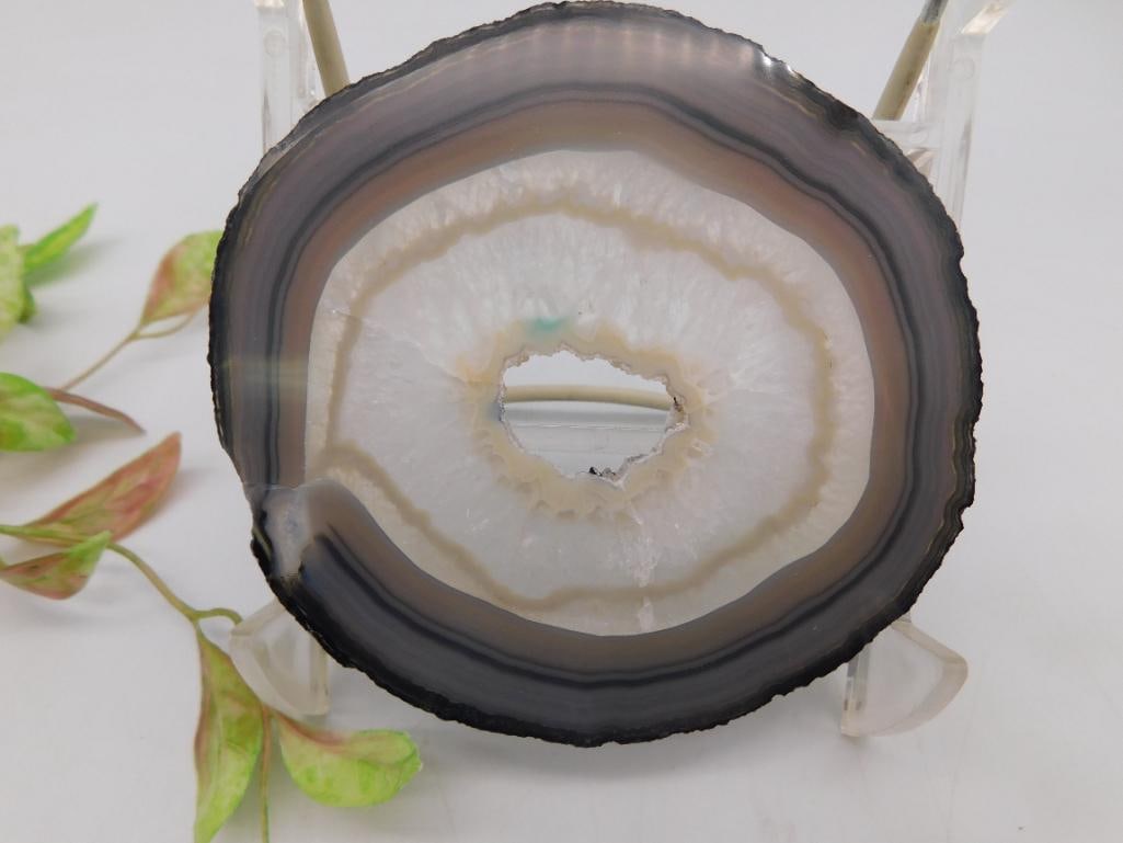 Polished Agate Slice with Bands ROCK STONE LAPIDARY SPECIMEN (1 of 4)