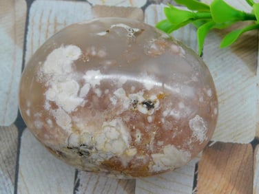 HATMANS FLOWER PETAL AGATE ROCK STONE LAPIDARY SPECIMEN