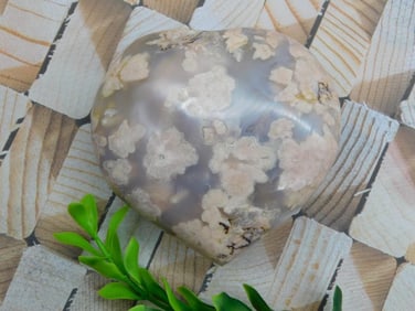HATMANS FLOWER PETAL AGATE ROCK STONE LAPIDARY SPECIMEN