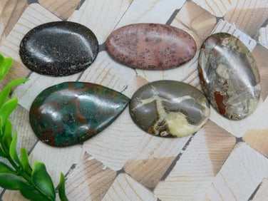 CABOCHONS ROCK STONE LAPIDARY SPECIMEN