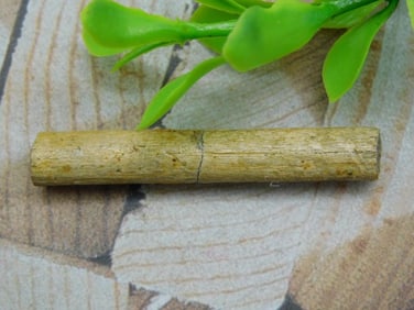 HADROSAUR TENDON FOSSIL ROCK STONE LAPIDARY SPECIMEN