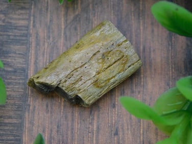 HADROSAUR TENDON ROCK STONE LAPIDARY SPECIMEN