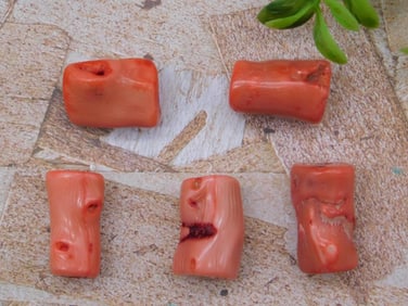 RED CORAL ROCK STONE LAPIDARY SPECIMEN