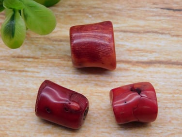 RED CORAL ROCK STONE LAPIDARY SPECIMEN