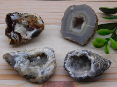 GEODES ROCK STONE LAPIDARY SPECIMEN