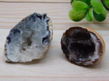 GEODES ROCK STONE LAPIDARY SPECIMEN