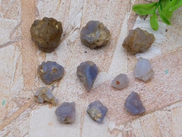 ELLENSBURG AGATE ROCK STONE LAPIDARY SPECIMEN