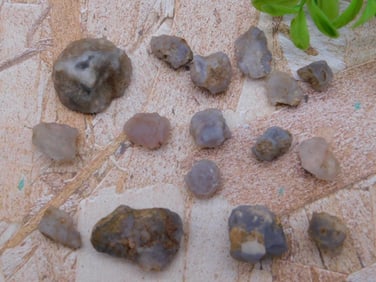 ELLENSBURG AGATE ROCK STONE LAPIDARY SPECIMEN