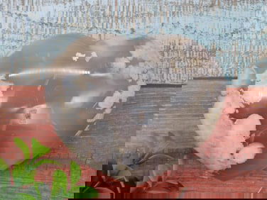 HATMANS FLOWER PETAL AGATE ROCK STONE LAPIDARY SPECIMEN