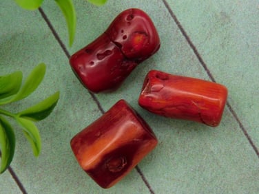 RED CORAL ROCK STONE LAPIDARY SPECIMEN