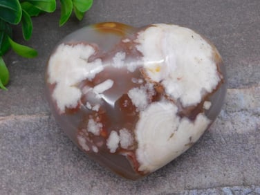 HATMANS FLOWER PETAL AGATE ROCK STONE LAPIDARY SPECIMEN