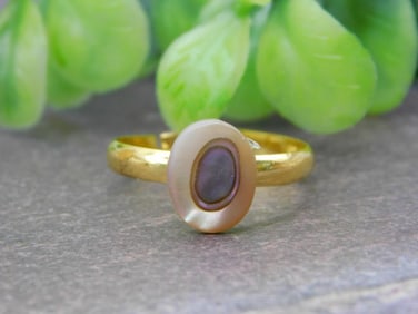 ABALONE RING ROCK STONE LAPIDARY SPECIMEN