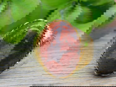 BRECCIATED JASPER RING ROCK STONE LAPIDARY SPECIMEN